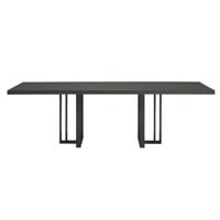 QLiv T2 tafel 260x100 Coal Black Eiken