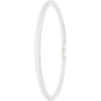 LEDVANCE LED-buis-Buis Energielabel: D (A - G) T5 21.5 W Neutraalwit 1 stuk(s) (Ø x l) 16.50 mm x 300.00 mm