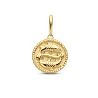 Minimalistische sterrenbeeld bedel - 14K GOUD - Pisces - vissen - Goud