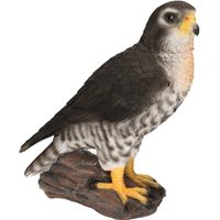 Slechtvalk roofvogel beeldje woondecoratie 26 cm