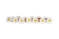 Haarband margrietjes