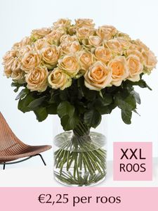 Zalmkleurige rozen - Kies je aantal - 10 t/m 99 rozen