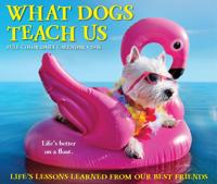 What Dogs Teach Us Scheurkalender 2026 Boxed
