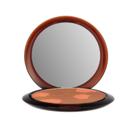 Guerlain Terracotta Light Powder 05 Foncé Doré Gezichtspoeder 10 g Dames Guerlain Terracotta Light Powder 05 Foncé Doré Gezichtspoeder 10 g Dames