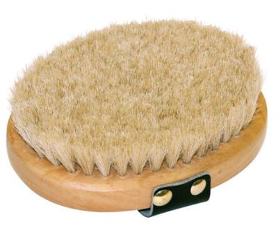 Verwenborstel ovaal houten rug paardenharen brushco
