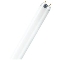 OSRAM HOMELIGHTING TL-lamp Energielabel: G (A - G) G13 30 W Warmwit 827 Buis (Ø x l) 26 mm x 908.8 mm 1 stuk(s)
