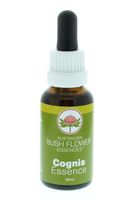 Focus (Cognis)essence
