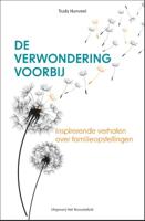 De verwondering voorbij (Paperback) - thumbnail