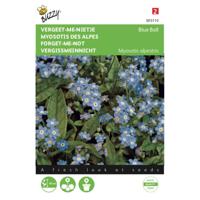 2 stuks Myosotis alpestris Blauw vergeet me niet