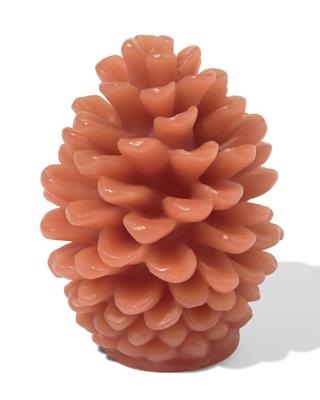 HEMA Led Kaars 9x11.4cm Dennenappel (terra)