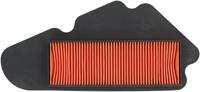 NYPSO Air filter