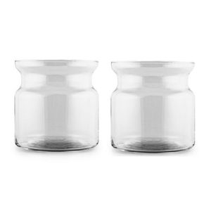 Set van 2x stuks transparante home-basics vaas/vazen van glas 19 x 19 cm Brenda