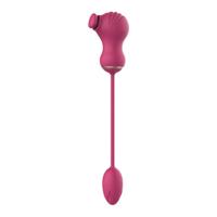 Paren Massager Dream Toys Essentials
