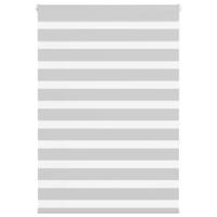 VidaXL Zebra rolgordijn 100x150 cm stofbreedte 95,9 cm lichtgrijs