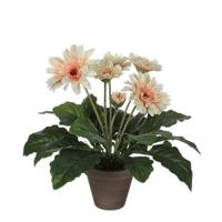 Mica Decorations Gerbera Kunstplant - H35 x Ø30 cm - Crème