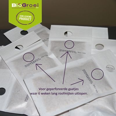 100 Swirskii kweekzakjes tegen witte vlieg en trips