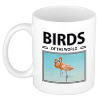 Flamingos mok met dieren foto birds of the world