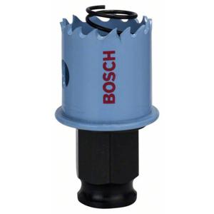 Bosch Accessories Bosch 2608584785 Gatenzaag 27 mm 1 stuk(s)