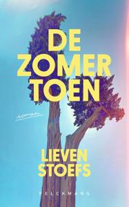 De zomer toen - Lieven Stoefs - ebook