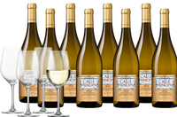 Glazenpakket Calle Principal Sauvignon Blanc Edicion Limitada - thumbnail