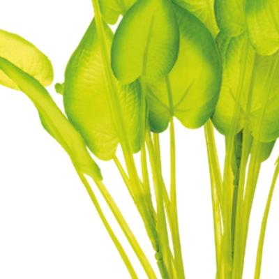Sf art plant 40 cm echinodorus - Superfish