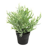 Kunstplant Platycerium in bloempot - Groen - 20 x 24 cm   -