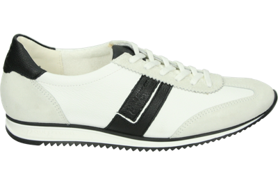 Paul Green 5453 - alle