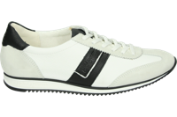 Paul Green 5453 - alle