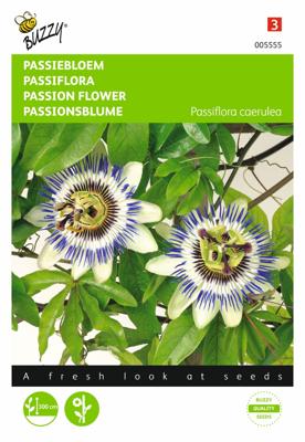 Passiflora coerulea Passiebloem - Buzzy