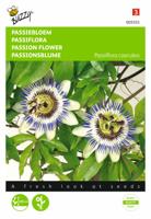 Passiflora coerulea Passiebloem - Buzzy