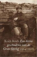 Een kleine geschiedenis van de Grote Oorlog - Koen Koch - ebook