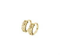 TFT Klapcreolen Gourmet 5 X 13 Mm Geelgoud Glanzend TFT Klapcreolen Gourmet 5 X 13 Mm Geelgoud Glanzend