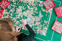 Jumbo puzzel sorteerderbakjes - thumbnail