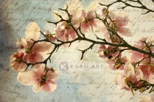 Karo-art Schilderij - Magnolia boomtak met een verouderd papieren effect en een oud handschrift, premium print , 3 maten , Multikleur