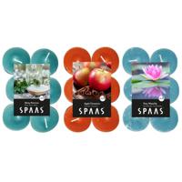 Candles by Spaas geurkaarsen - 36x stuks in 3 geuren - Maxi theelichtjes van 4.5 branduren