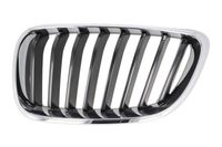 Radiateurgrille 6502070069991P