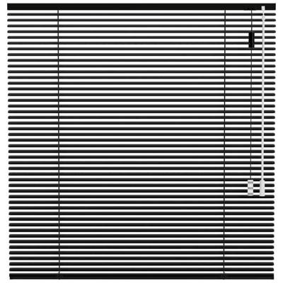 Leen Bakker - Fenstr Jaloezie 25mm Standaard Lak - (15026) - Aluminium - Zwart - 120x10x10 Cm