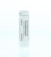 Homeoden Heel Cardiospermum halicacabum D30 6 Gram