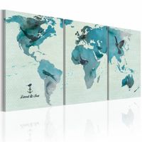 Schilderij - Wereldkaart - Ornithologische Kaart, Blauw, 3luik , premium print op canvas