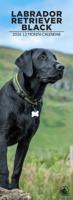 Labrador Retriever Zwart Slimline Kalender 2026