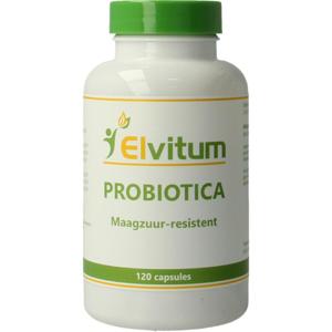 Elvitaal/elvitum Probiotica