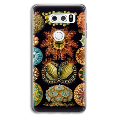 Haeckel Ascidiae: LG V30 Transparant Hoesje