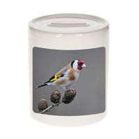 Dieren foto spaarpot putter vogel 9 cm - vogels spaarpotten jongens en meisjes