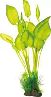SuperFish Art Plant 40 cm Echinodorus