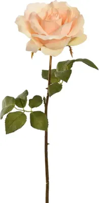Pure Royal kunsttak roos 53cm vanille
