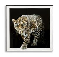 SCHILDERIJ OP DOEK GELAKTE JAGUAR MET LIJST -B- CM 82X4X82 SCHILDERIJ OP DOEK GELAKTE JAGUAR MET LIJST -B- CM 82X4X82