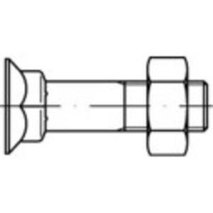 TOOLCRAFT 111790 Verzonken schroeven met vierkante hals M12 40 mm Buitenzeskant DIN 608 Staal 100 stuk(s)