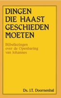 Dingen die haast geschieden moeten - J.T. Doornenbal - ebook