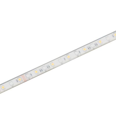 LED strip | 24V | RGBW-3000K | 14,4W | 60 LEDS/m | IP62