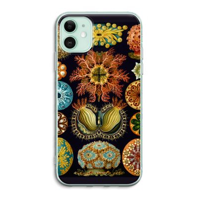 Haeckel Ascidiae: iPhone 11 Transparant Hoesje